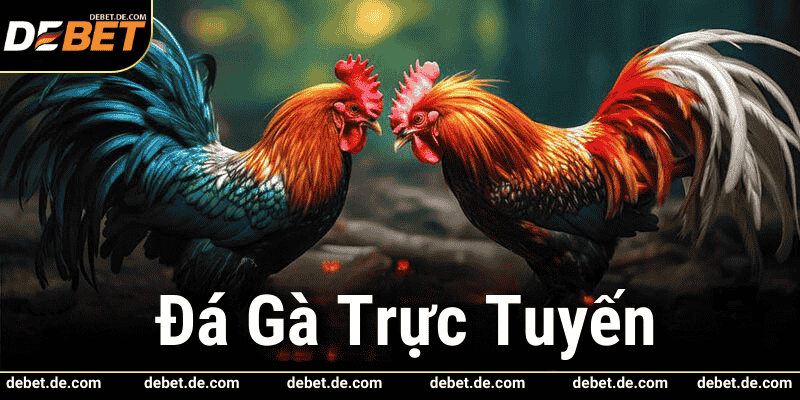 Trải Nghiệm Đá Gà Trực Tuyến Sôi Động